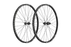 Dt-swiss RUEDA DT SWISS E1900 SPLINE 29" 30 MM